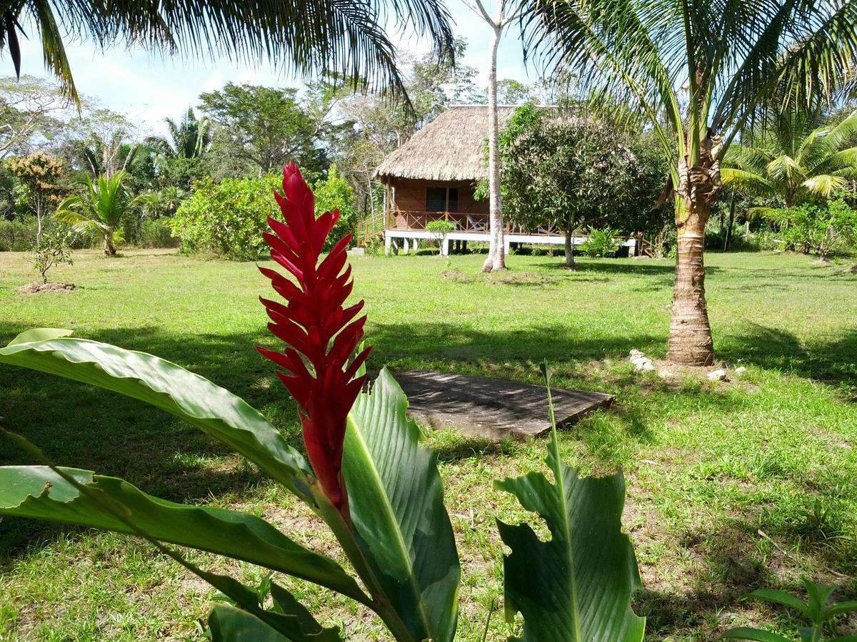 Nature Resort Bermudian Landing Exterior photo