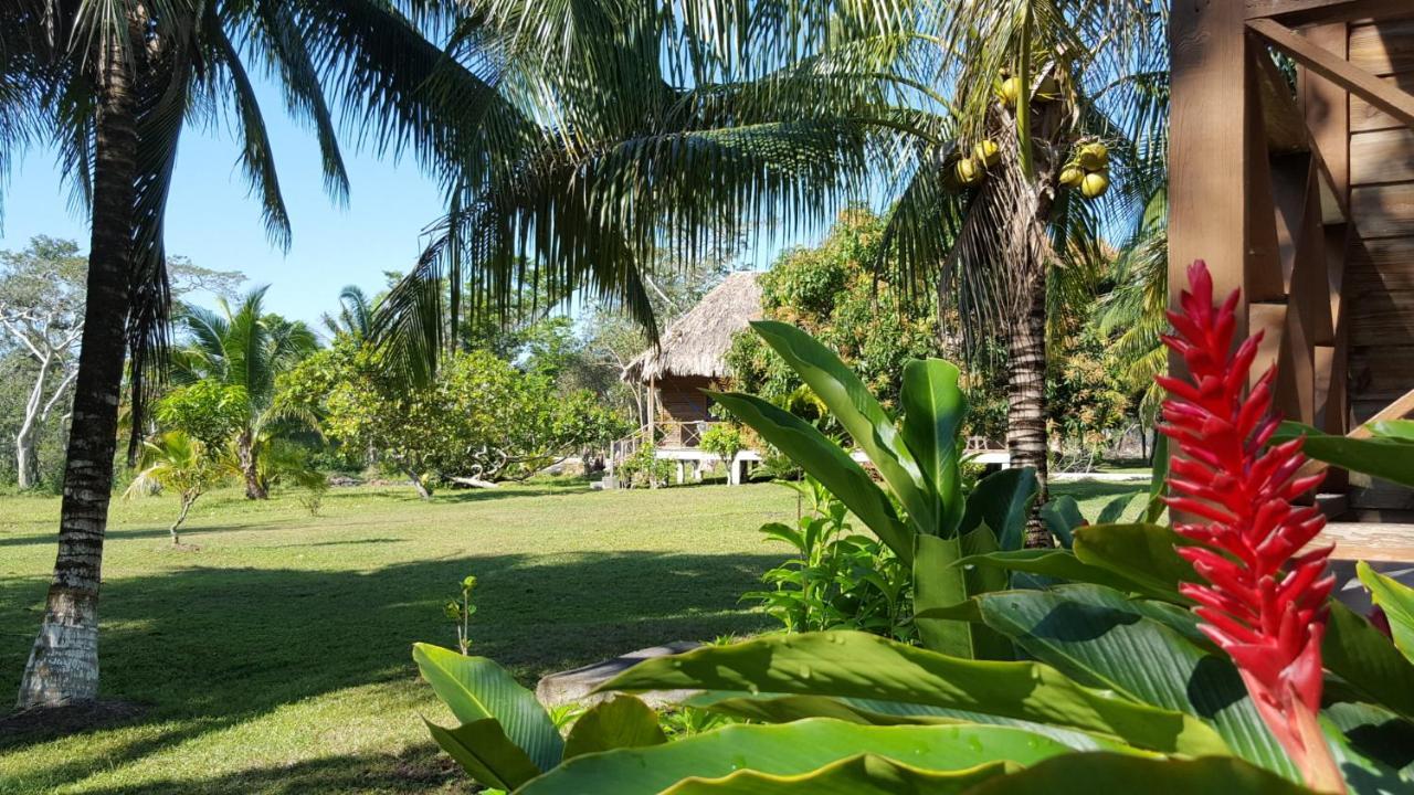 Nature Resort Bermudian Landing Exterior photo
